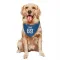 Royal Indianapolis Colts Pheldarius Payne   Dog & Cat Pet Bandana